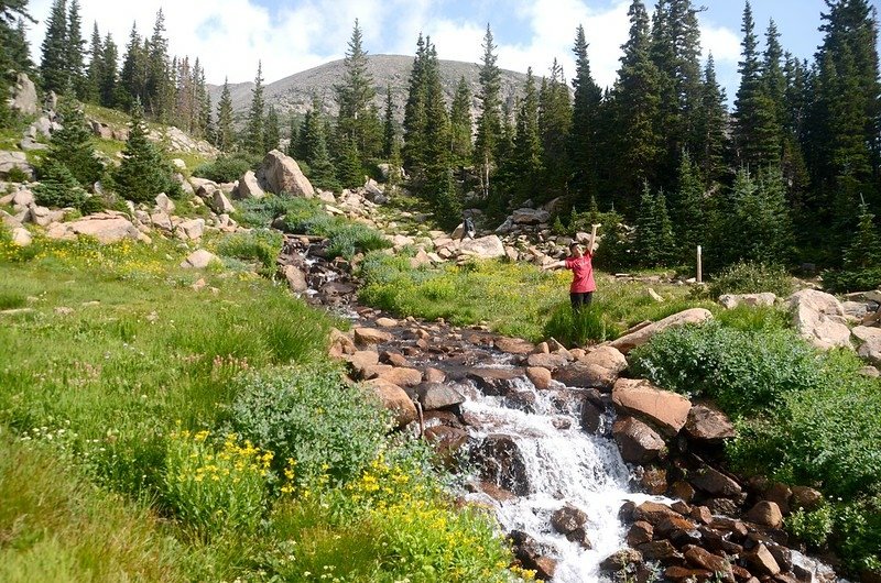 Wildflowers blooming along the cascade below Lake Isabelle (4)