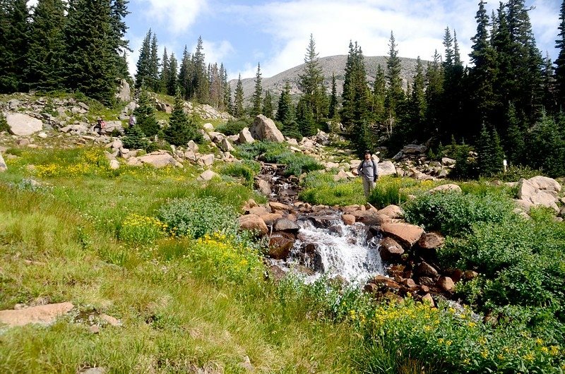 Wildflowers blooming along the cascade below Lake Isabelle (6)