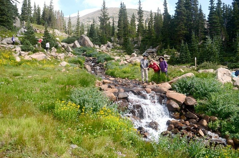 Wildflowers blooming along the cascade below Lake Isabelle (8)