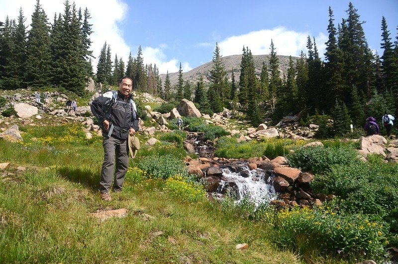 Wildflowers blooming along the cascade below Lake Isabelle (9)