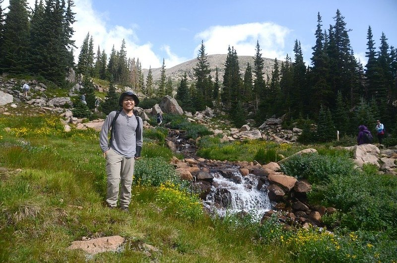 Wildflowers blooming along the cascade below Lake Isabelle (10)