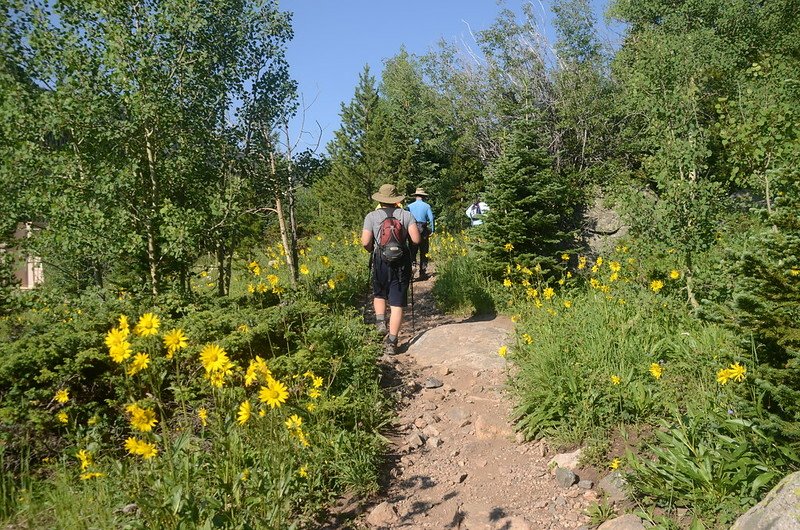 Forest Lakes Hike (63)