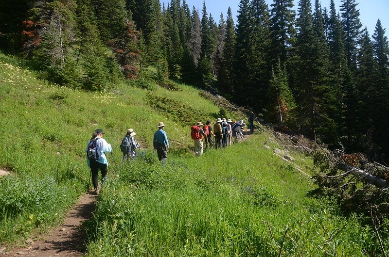 Forest Lakes Hike (17)