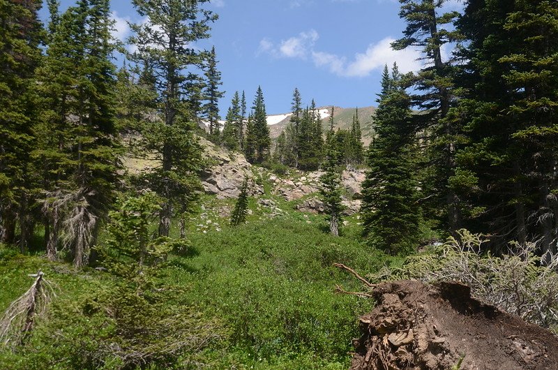 Forest Lakes Hike (4)