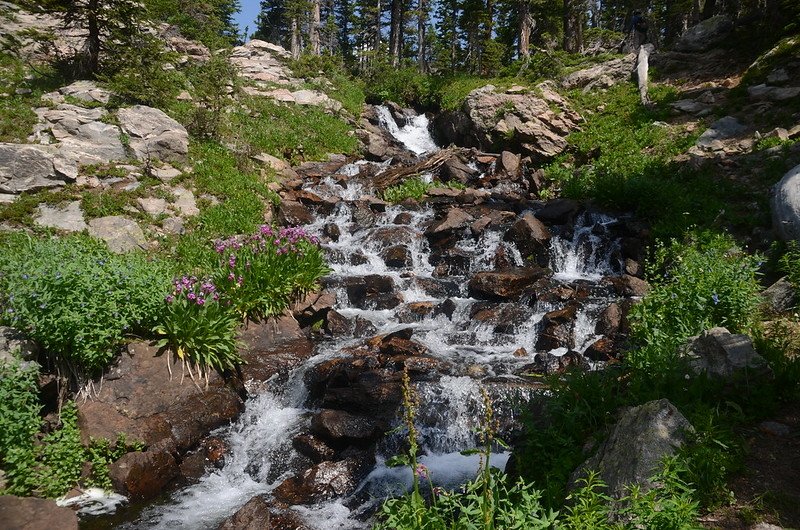 Cascades along the trail (2)