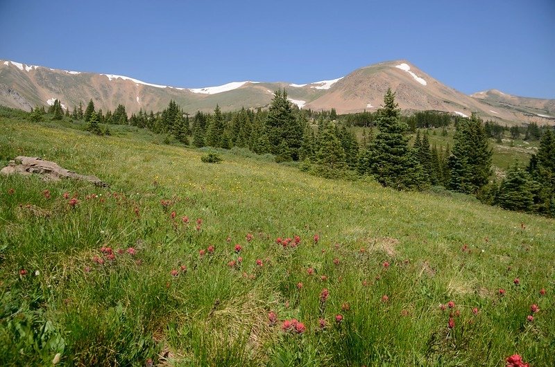 View to the west as the trail breaks out of the trees (2)