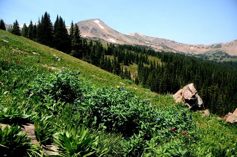 Butler Gulch Trail Hike (215)