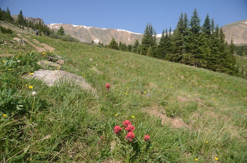 Taken from just above the treeline (11,476&apos;) (9)