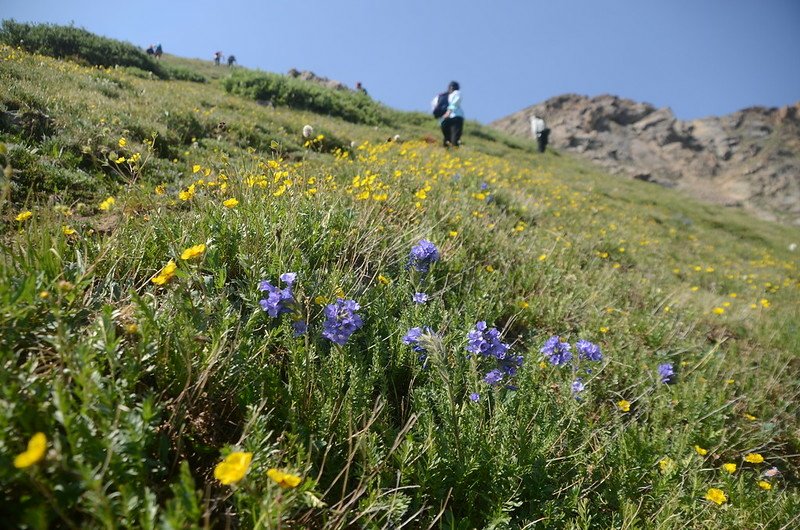 Butler Gulch Trail Hike (72)