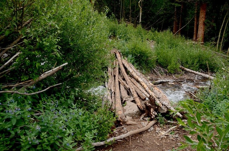 A shift log bridge crossing Missouri Gulch stream