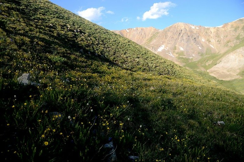 Mount Belford&apos;s northwest slope (2)