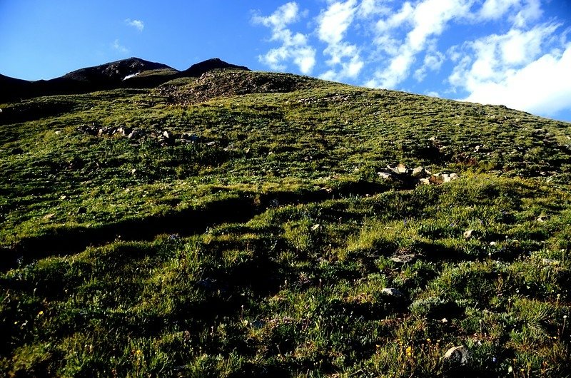 Mount Belford&apos;s northwest slope (3)