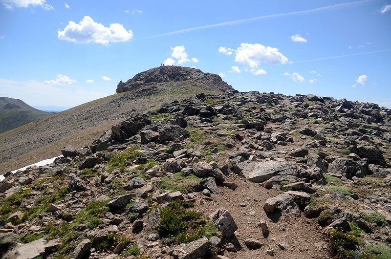 The summit knob of Mount Belford (1)