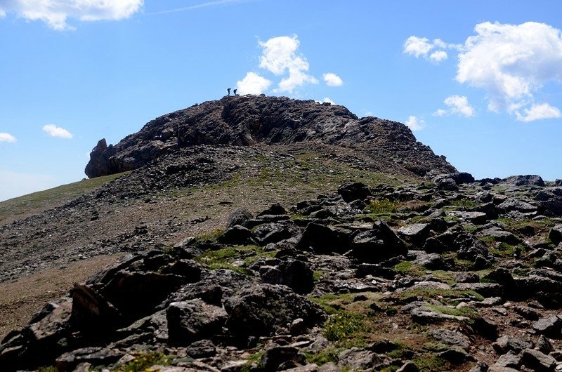 The summit knob of Mount Belford (2)