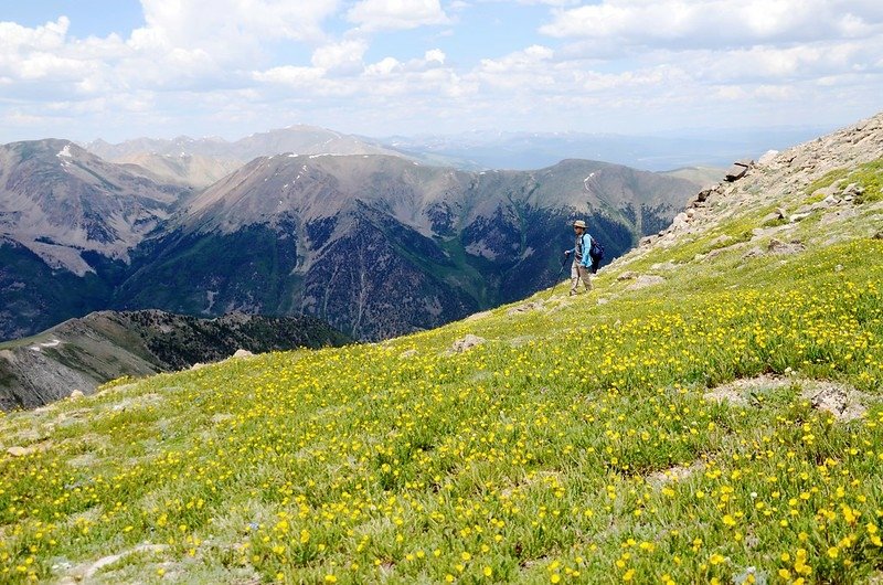 Wildflowers blooming along the trail (2)