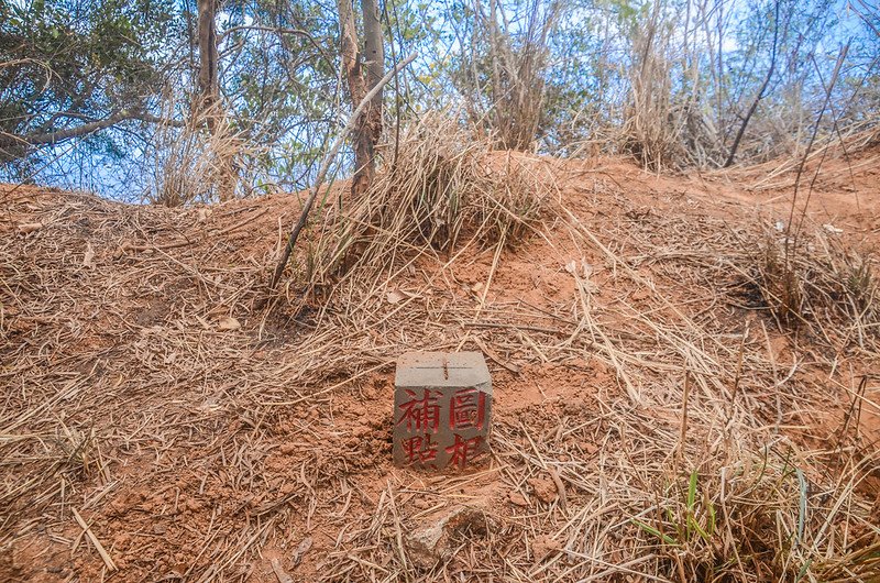 南太平頂山圖根補點(Elev. 171 m) (1)