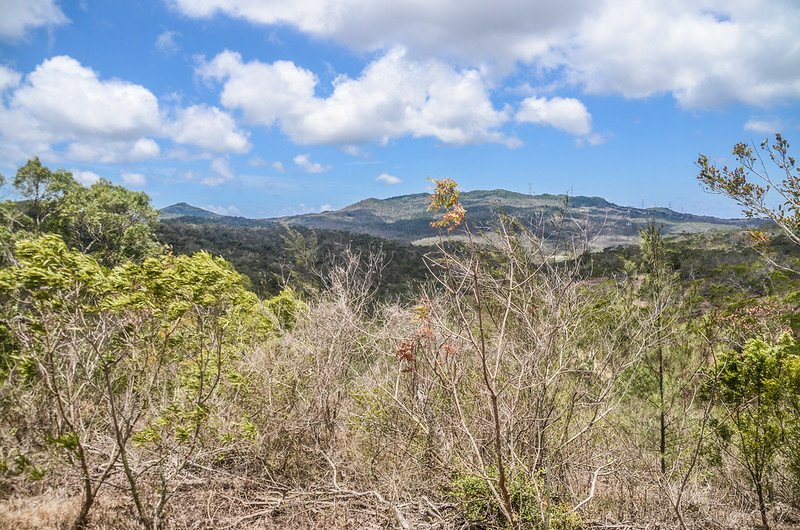 大崎山西南望赤牛嶺(右)、大山母山(左)