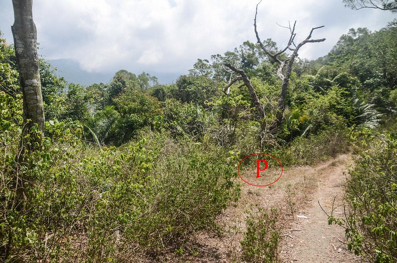 草山停車處登山口 1