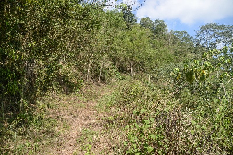 草山登山土路