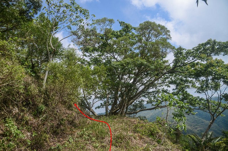 草山登山土路終點上切處