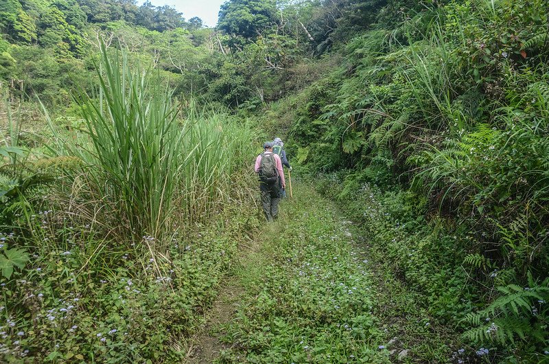 久武山產道