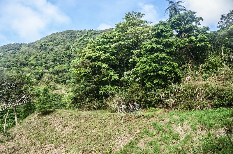 久武山停車處西北望久武山東峰 (1)