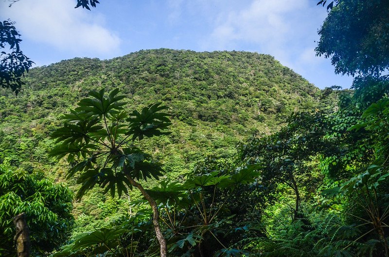 久武山停車處西北望久武山東峰 (2)