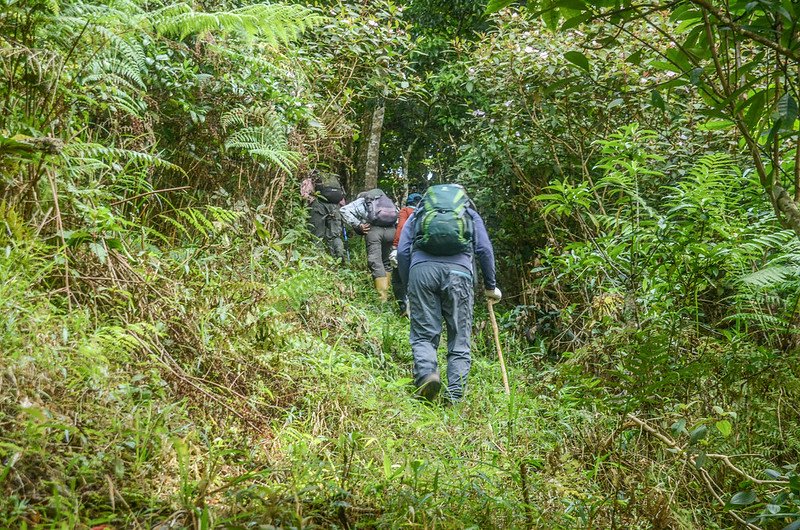 久武山東峰山徑 (3)