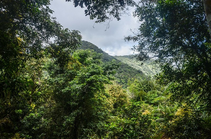 久武山東峰舊部落遺址西北望久武山