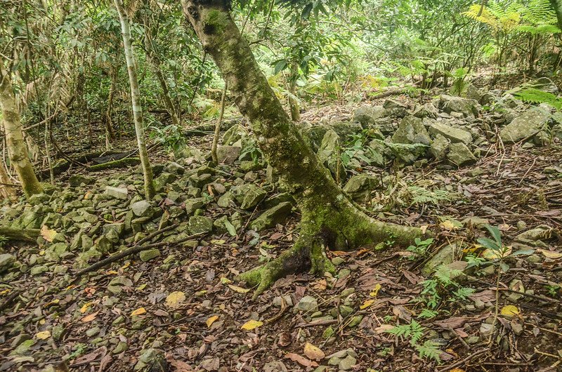 久武山東峰舊部落遺址 (2)