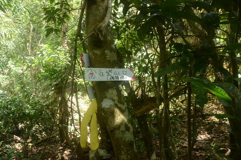 久武山東峰山腰路、稜線路岔路