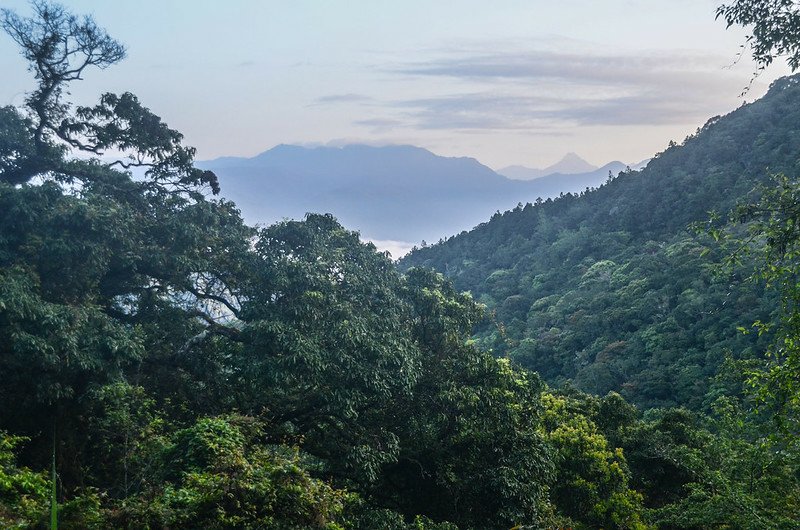 紅石林道北望東台一霸~新康山