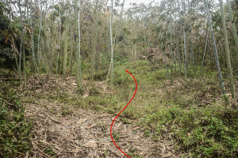 樣子坑山登山路線