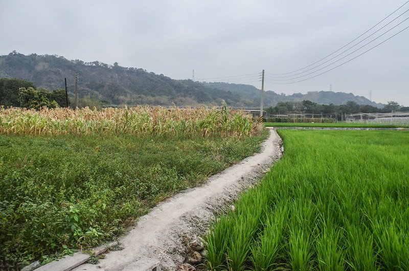 觸口大正二年總督府土木局濁水溪左岸1024號水準點現場地貌