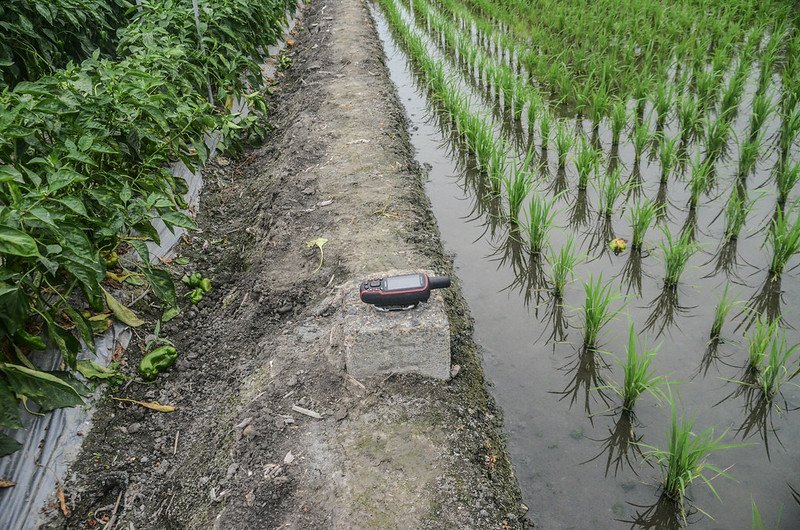 樹子腳大正二年總督府土木局水準點(# 西螺溪左岸7-24 Elev. 44 m)