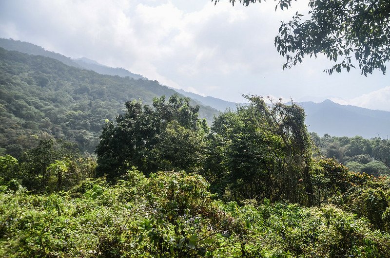 日湯真山西南峰停車處東望日湯真山稜線