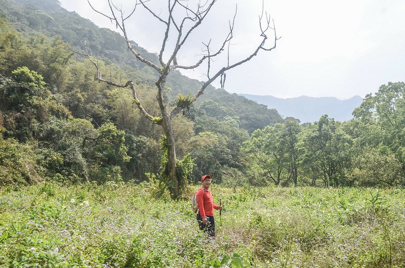 日湯真山西南峰枯木岔路