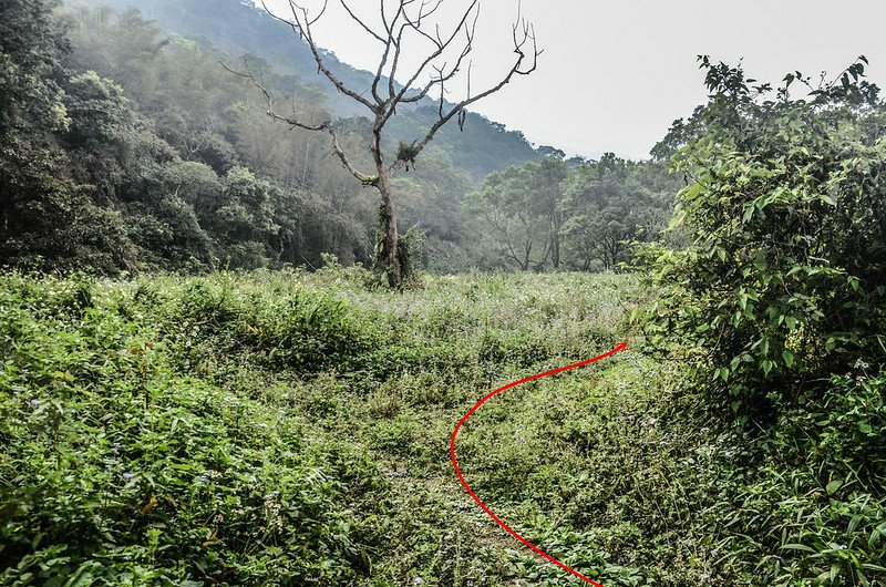 日湯真西南枯木岔路