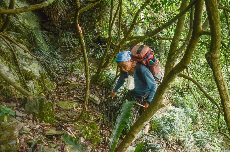 日湯真山西南峰較危險地形路段 (2)