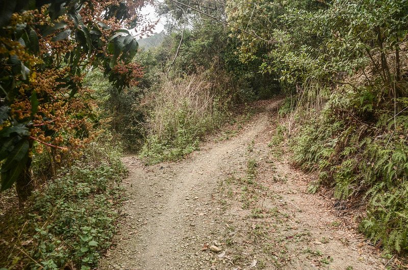 亞麻灣山西峰岔路