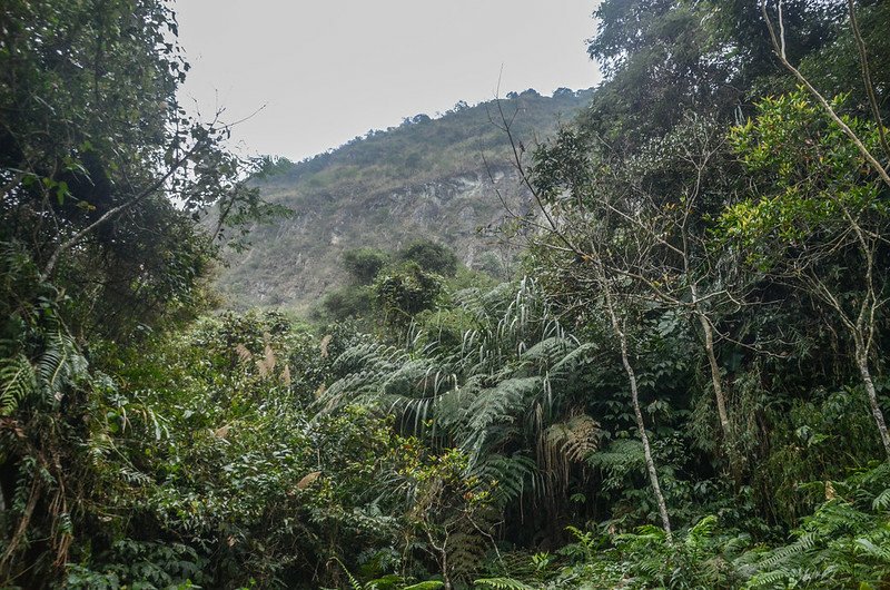 白石牙山停車處仰望白石牙山