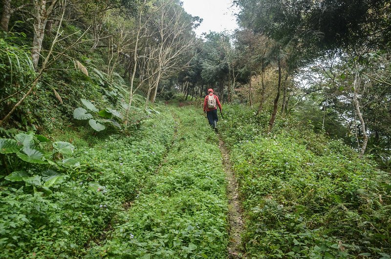 白石牙山土石產道 1