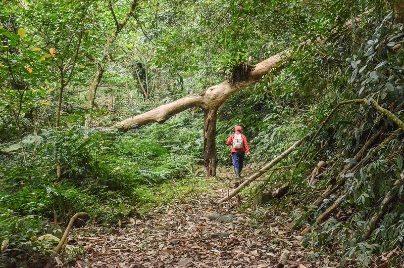 白石牙山土石產道 2