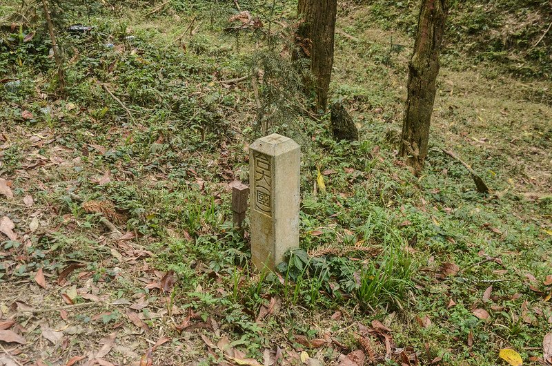 線浸林道台大(國)水泥柱