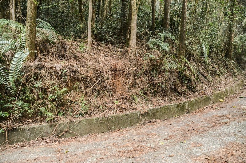 線浸山停車處登山口