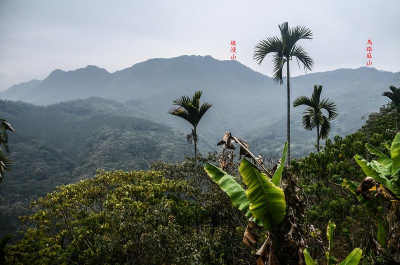 車轀轆山西南望線浸山稜線 (1)