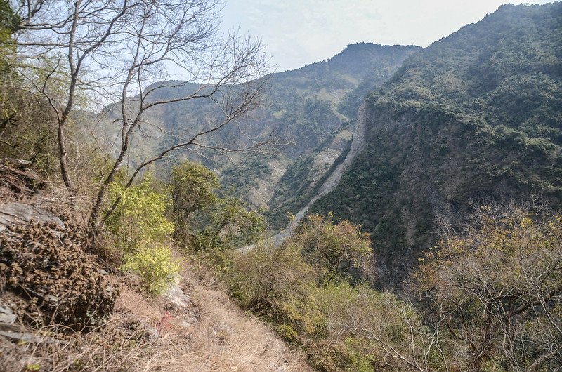 東多納山腰繞山徑 (3)