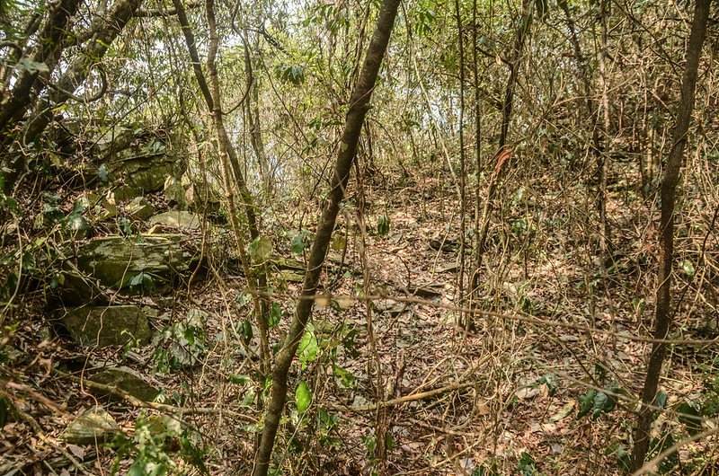 東多納山北鞍部