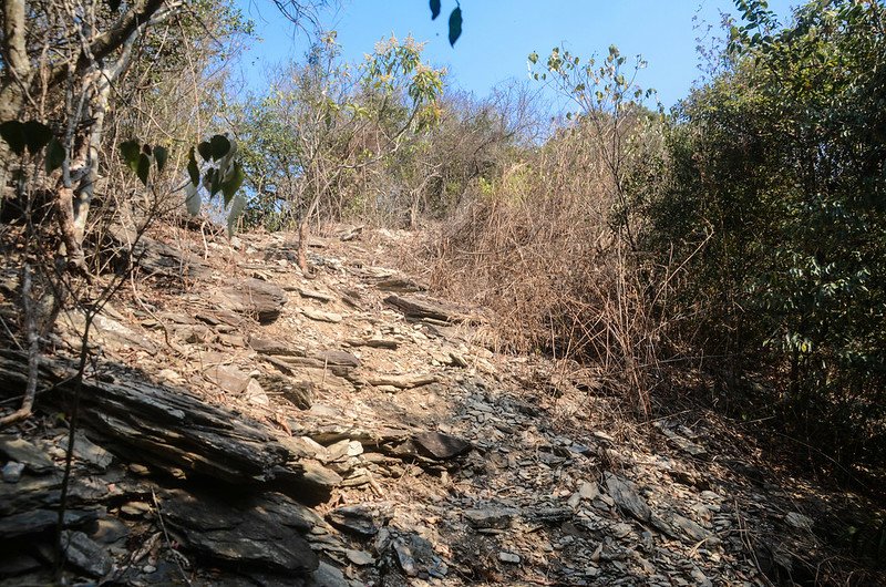 德德山西北峰登山小徑 (4)