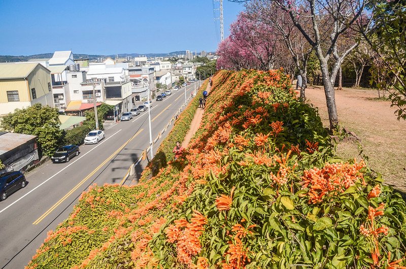 2021 銅鑼炮仗花道 (33)